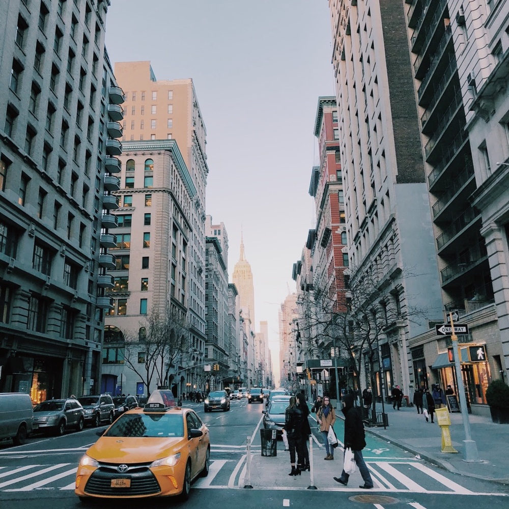 Meet your Posher, Molly